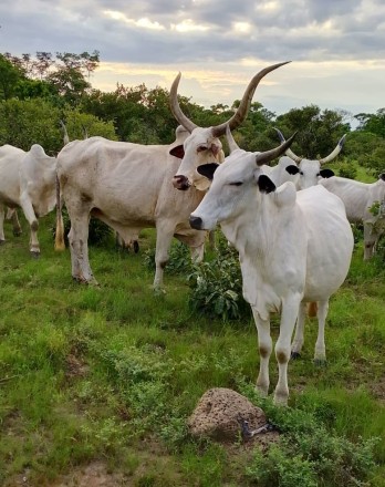 WhatsApp Image 2025-12-18 at 14.18.22_3aecb916